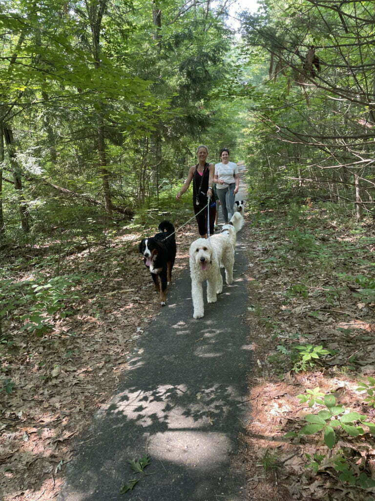 Camp Happy Hound